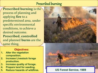 Prescribed burning
Prescribed burning is the
process of planning and
applying fire to a
predetermined area, under
specific environmental
conditions, to achieve a
desired outcome.
Prescribed, controlled
and planned burns are the
same thing.
Objectives:
1. Alter the vegetation
composition.
2. Increase Livestock forage
production.
3. Increase quality of forage.
4. Prepare land for seeding.
5. Reduce hazards of wildfires. US Forest Service, 1989
 