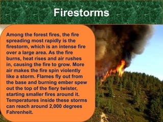 Forest Fire- its impacts, case studies