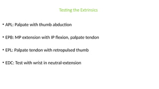 Testing Epl Tendon Comprehensive Overview of Common Flexor and Extensor Tendon Injuries of ...