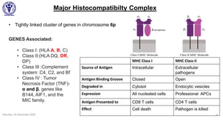 Major Histocompatibilty Complex
• Tightly linked cluster of genes in chromosome 6p
16Saturday, 05 December 2020
GENES Associated:
• Class I: (HLA A, B, C)
• Class II:(HLA DQ, DR,
DP)
• Class III :Complement
system: C4, C2, and Bf
• Class IV : Tumor
Necrosis Factor (TNF)-
α and β, genes like
B144, AIF1, and the
MIC family.
MHC Class I MHC Class II
Source of Antigen Intracellular Extracellular
pathogens
Antigen Binding Groove Closed Open
Degraded in Cytosol Endocytic vesicles
Expression All nucleated cells Professional APCs
Antigen Presented to CD8 T cells CD4 T cells
Effect Cell death Pathogen is killed
 