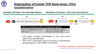 Saturday, December 5, 2020 19
Leiden JM et al, Annual Rev Immunol 1993; 11:539
Organization of human TCR Gene locus: V(D)J
recombination
TCR chain is encoded by multiple rearranging gene segments:
Alpha locus: Three gene clusters:
49 V; 61 J; 1 C
Beta locus: Four gene clusters:
75 V; 2 D; 2 C; 6 Jβ1; 7 Jβ2
V (variable); J (joining) ; C (constant); D (Diversity)
• TCR genes undergo recombination of the V,D,J genes
called V(D)J recombination.
• This event is dependent upon the function of recombinase-
activating genes 1 and 2 (RAG1 and RAG2)
 