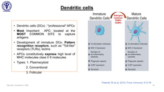 Dendritic cells
• Dendritic cells (DCs) : "professional" APCs
• Most Important APC: located at the
MOST COMMON SITE to capture
antigens
• Development of immature DCs: Pattern
recognition receptors, such as "Toll-like"
receptors (TLRs), lectins
• APCs constitutively express high level of
MHC molecules class I/ II molecules
• Types: 1. Plasmacytoid
2. Conventional
3. Follicular
Saturday, December 5, 2020 24
Patente TA at al, 2019, Front. Immunol. 9:3176
 