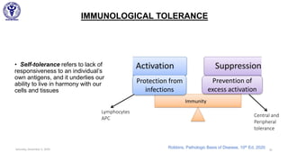 IMMUNOLOGICAL TOLERANCE
Saturday, December 5, 2020 30
• Self-tolerance refers to lack of
responsiveness to an individual’s
own antigens, and it underlies our
ability to live in harmony with our
cells and tissues
Protection from
infections
Prevention of
excess activation
Immunity
Lymphocytes
APC
Central and
Peripheral
tolerance
Robbins, Pathologic Basis of Disease, 10th Ed, 2020
 