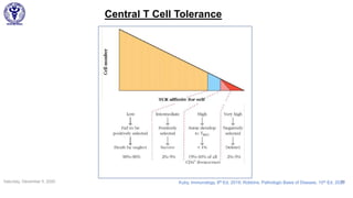 Saturday, December 5, 2020 34
Central T Cell Tolerance
Kuby, Immunology, 8th Ed, 2019; Robbins, Pathologic Basis of Disease, 10th Ed, 2020
 