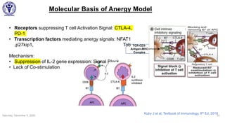 Molecular Basis of Anergy Model
Saturday, December 5, 2020 51
• Receptors suppressing T cell Activation Signal: CTLA-4,
PD-1
• Transcription factors mediating anergy signals: NFAT1
,p27kip1, Tob
Mechanism:
• Suppression of IL-2 gene expression: Signal Block
• Lack of Co-stimulation
TCR-CD3-
Antigen-MHC
Complex
Kuby J et al, Textbook of Immunology, 8th Ed, 2019
 