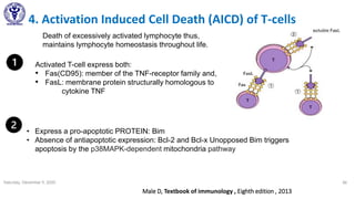 4. Activation Induced Cell Death (AICD) of T-cells
Saturday, December 5, 2020 56
Activated T-cell express both:
• Fas(CD95): member of the TNF-receptor family and,
• FasL: membrane protein structurally homologous to
cytokine TNF
Death of excessively activated lymphocyte thus,
maintains lymphocyte homeostasis throughout life.
Male D, Textbook of immunology , Eighth edition , 2013
• Express a pro-apoptotic PROTEIN: Bim
• Absence of antiapoptotic expression: Bcl-2 and Bcl-x Unopposed Bim triggers
apoptosis by the p38MAPK-dependent mitochondria pathway
 