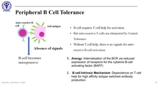 Saturday, December 5, 2020 57
1. Anergy: Internalisation of the BCR via reduced
expression of receptors for the cytokine B-cell
activating factor (BAFF)
2. B cell Intrinsic Mechanism: Dependence on T cell
help for high affinity isotype switched antibody
production
 