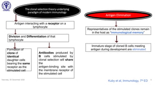 Saturday, 05 December 2020 9
The clonal selection theory-underlying
paradigm of modern immunology
Antigen interacting with a receptor on a
lymphocyte
Division and Differentiation of that
lymphocyte
Formation of
clone of
identical
daughter cells
bearing the same
receptor as the
stimulated cell
Immature stage of cloned B cells meeting
antigen during development are eliminated
Antibodies produced by
B cells stimulated by
clonal selection will share
the
antigen-binding site with
the membrane receptor of
the stimulated cell
Representatives of the stimulated clones remain
in the host as “immunological memory”
Antigen Elimination
Kuby et al, Immunology, 7th ED
 