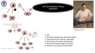 Saturday, 05 December 2020 10
Macfarlane Burnet
1. HSC
2. Immature lymphocytes with Ag receptors
3. Those that bind to self Ag - destroyed
4. Rest mature to inactive lymphocytes
5. Encounter foreign antigen- activated
6. Produce many clones of themselves
The Clonal Selection Theory
Hypothesis
 