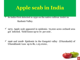 Apple scab in India
 In India-First detected in 1930 on the native cultivar Ambri in
Kashmir Valley.
 1973- Apple scab appeared in epidemic. 70,000 acres orchard area
got infected. Yield losses up to 70 per cent .
 1996 and 2008- Epidemic in the Gangotri valley (Uttarakashi) of
Uttarakhand. Loss up to Rs. 1.25 crores .
9
 
