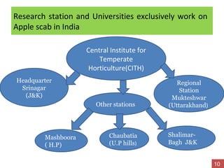 Research station and Universities exclusively work on
Apple scab in India
Central Institute for
Temperate
Horticulture(CITH)
Headquarter
Srinagar
(J&K)
Regional
Station
Mukteshwar
(Uttarakhand)Other stations
Shalimar-
Bagh J&K
Mashboora
( H.P)
Chaubatia
(U.P hills)
10
 