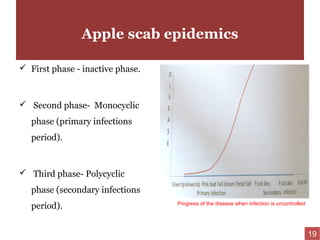 Apple scab epidemics
 First phase - inactive phase.
 Second phase- Monocyclic
phase (primary infections
period).
 Third phase- Polycyclic
phase (secondary infections
period). Progress of the disease when infection is uncontrolled
19
 