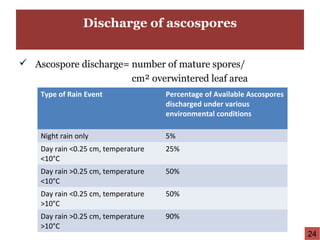 Discharge of ascospores
 Ascospore discharge= number of mature spores/
cm² overwintered leaf area
Type of Rain Event Percentage of Available Ascospores
discharged under various
environmental conditions
Night rain only 5%
Day rain <0.25 cm, temperature
<10°C
25%
Day rain >0.25 cm, temperature
<10°C
50%
Day rain <0.25 cm, temperature
>10°C
50%
Day rain >0.25 cm, temperature
>10°C
90%
24
 