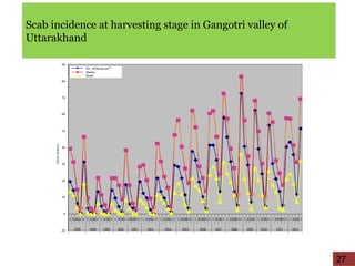 Scab incidence at harvesting stage in Gangotri valley of
Uttarakhand
27
 