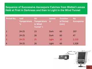 Sequence of Successive Ascospore Catches from Wetted Leaves
Held at First in Darkness and then in Light in the Wind Tunnel
Period No. Leaf
Temperature
°c
Air
Temperature
In Wind
Tunnel °c
Leaves
in
Duration
of Period
(min)
No
Ascospores
1 24-25 23 Dark 60 207
2 24-25 26 Dark 60 47
3 24-25 25 Light 30 2,110
4 24-25 26 Light 60 1,328
29
 