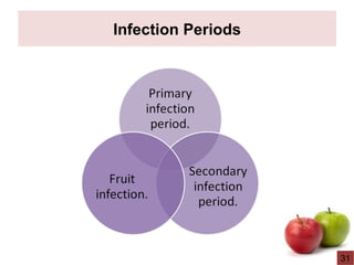 Infection Periods
31
 