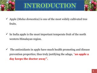  Apple (Malus domestica) is one of the most widely cultivated tree
fruits.
 In India apple is the most important temperate fruit of the north
western Himalayan region.
 The antioxidants in apple have much health promoting and disease
prevention properties; thus truly justifying the adage, “an apple a
day keeps the doctor away”.
1
 