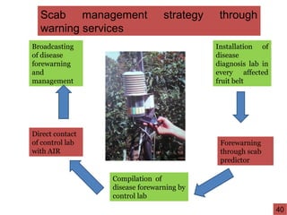Broadcasting
of disease
forewarning
and
management
Direct contact
of control lab
with AIR
Installation of
disease
diagnosis lab in
every affected
fruit belt
Forewarning
through scab
predictor
Compilation of
disease forewarning by
control lab
Scab management strategy through
warning services
40
 