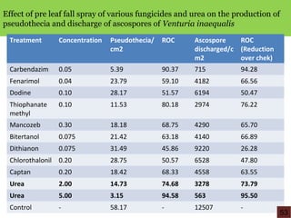 Effect of pre leaf fall spray of various fungicides and urea on the production of
pseudothecia and discharge of ascospores of Venturia inaequalis
Treatment Concentration Pseudothecia/
cm2
ROC Ascospore
discharged/c
m2
ROC
(Reduction
over chek)
Carbendazim 0.05 5.39 90.37 715 94.28
Fenarimol 0.04 23.79 59.10 4182 66.56
Dodine 0.10 28.17 51.57 6194 50.47
Thiophanate
methyl
0.10 11.53 80.18 2974 76.22
Mancozeb 0.30 18.18 68.75 4290 65.70
Bitertanol 0.075 21.42 63.18 4140 66.89
Dithianon 0.075 31.49 45.86 9220 26.28
Chlorothalonil 0.20 28.75 50.57 6528 47.80
Captan 0.20 18.42 68.33 4558 63.55
Urea 2.00 14.73 74.68 3278 73.79
Urea 5.00 3.15 94.58 563 95.50
Control - 58.17 - 12507 -
53
 