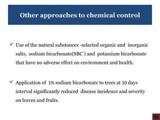 Other approaches to chemical control
 Use of the natural substances -selected organic and inorganic
salts, sodium bicarbonate(SBC ) and potassium bicarbonate
that have no adverse effect on environment and health.
 Application of 1% sodium bicarbonate to trees at 10 days
interval significantly reduced disease incidence and severity
on leaves and fruits.
54
 