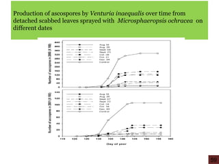 Production of ascospores by Venturia inaequalis over time from
detached scabbed leaves sprayed with Microsphaeropsis ochracea on
different dates
59
 