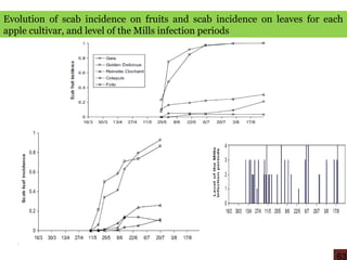 Evolution of scab incidence on fruits and scab incidence on leaves for each
apple cultivar, and level of the Mills infection periods
63
 
