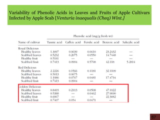Variability of Phenolic Acids in Leaves and Fruits of Apple Cultivars
Infected by Apple Scab [Venturia inaequalis (Cheq) Wint.]
67
 