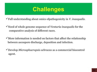 Challenges
Full understanding about omics ofpathogenicity in V. inaequalis.
Need of whole genome sequence of Venturia inaequalis for the
comparative analysis of different races.
More information is needed on factors that affect the relationship
between ascospore discharge, deposition and infection.
Develop Microsphaeropsis ochracea as a commercial biocontrol
agent.
69
 