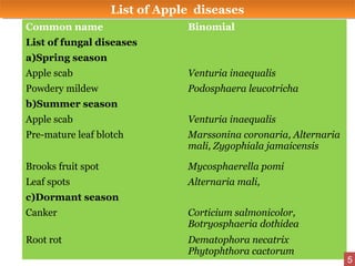 Common name Binomial
List of fungal diseases
a)Spring season
Apple scab Venturia inaequalis
Powdery mildew Podosphaera leucotricha
b)Summer season
Apple scab Venturia inaequalis
Pre-mature leaf blotch Marssonina coronaria, Alternaria
mali, Zygophiala jamaicensis
Brooks fruit spot Mycosphaerella pomi
Leaf spots Alternaria mali,
c)Dormant season
Canker Corticium salmonicolor,
Botryosphaeria dothidea
Root rot Dematophora necatrix
Phytophthora cactorum
List of Apple diseasesList of Apple diseases
5
 