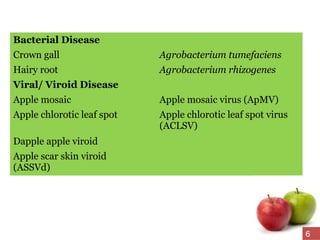 Bacterial Disease
Crown gall Agrobacterium tumefaciens
Hairy root Agrobacterium rhizogenes
Viral/ Viroid Disease
Apple mosaic Apple mosaic virus (ApMV)
Apple chlorotic leaf spot Apple chlorotic leaf spot virus
(ACLSV)
Dapple apple viroid
Apple scar skin viroid
(ASSVd)
6
 