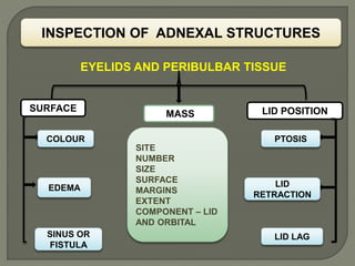 INSPECTION OF ADNEXAL STRUCTURES
SURFACE LID POSITIONMASS
EYELIDS AND PERIBULBAR TISSUE
COLOUR
EDEMA
SINUS OR
FISTULA
SITE
NUMBER
SIZE
SURFACE
MARGINS
EXTENT
COMPONENT – LID
AND ORBITAL
PTOSIS
LID
RETRACTION
LID LAG
 