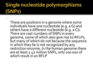 •
These are positions in a genome where some
individuals have one nucleotide (e.g. a G) and
others have a different nucleotide (e.g. a C)).
There are vast numbers of SNPs in every
genome, some of which also give rise to RFLPs,
but many of which do not because the sequence
in which they lie is not recognized by any
restriction enzyme. In the human genome there
are at least 1.42 million SNPs, only 100 000 of
which result in an RFLP
 