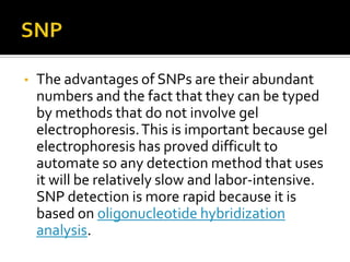 • The advantages of SNPs are their abundant
numbers and the fact that they can be typed
by methods that do not involve gel
electrophoresis.This is important because gel
electrophoresis has proved difficult to
automate so any detection method that uses
it will be relatively slow and labor-intensive.
SNP detection is more rapid because it is
based on oligonucleotide hybridization
analysis.
 