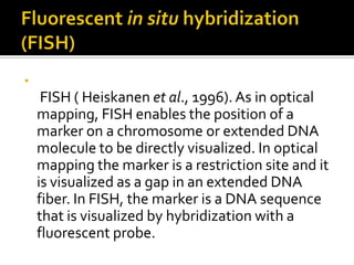 •
FISH ( Heiskanen et al., 1996). As in optical
mapping, FISH enables the position of a
marker on a chromosome or extended DNA
molecule to be directly visualized. In optical
mapping the marker is a restriction site and it
is visualized as a gap in an extended DNA
fiber. In FISH, the marker is a DNA sequence
that is visualized by hybridization with a
fluorescent probe.
 
