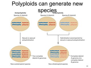 44
Polyploids can generate new
species
 