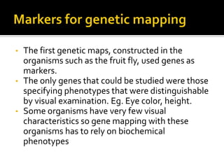 • The first genetic maps, constructed in the
organisms such as the fruit fly, used genes as
markers.
• The only genes that could be studied were those
specifying phenotypes that were distinguishable
by visual examination. Eg. Eye color, height.
• Some organisms have very few visual
characteristics so gene mapping with these
organisms has to rely on biochemical
phenotypes
 