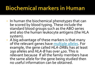 • In human the biochemical phenotypes that can
be scored by blood typing.These include the
standard blood groups such as the ABO series
and also the human leukocyte antigens (the HLA
system).
• A big advantage of these markers is that many
of the relevant genes have multiple alleles. For
example, the gene called HLA-DRB1 has at least
290 alleles and HLA-B has over 400.This is
relevant because If all the family members have
the same allele for the gene being studied then
no useful information can be obtained.
 