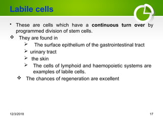 Labile Balance Examples Final Seminar presentation on wound healing - Copy.pptx