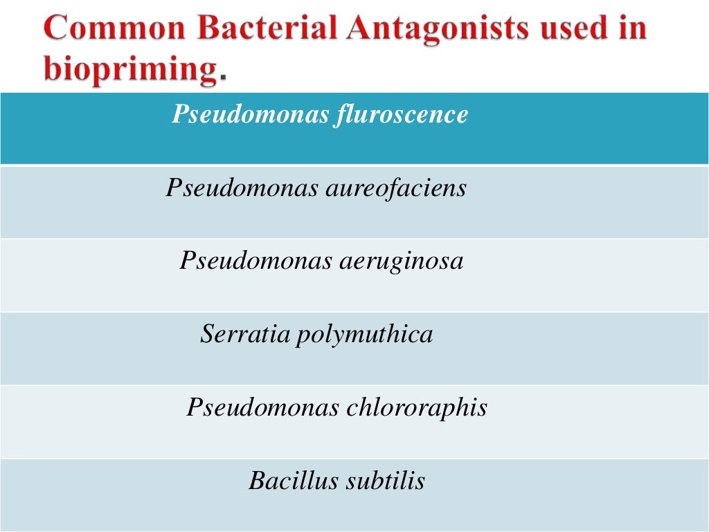 Seed Biopriming Biological method of seed treatment
