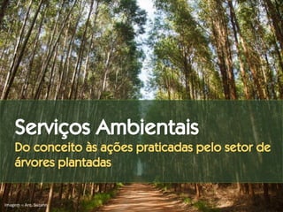 Serviços Ambientais
Do conceito às ações praticadas pelo setor de
árvores plantadas
Imagem – Arq. Suzano
 