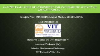 1
IN-VITRO EVALUATION OF ANTIOXIDANT AND ANTI-DIABETIC ACTIVITY OF
KIGELIA AFRICANA
Sreejith P S (15MSB0045), Majesh Mathew (15MSM0070).
Research Guide: Dr. Devi Rajeswari V
Assistant Professor (Sr),
School of Biosciences and Technology,
VIT University, Vellore-14.
13SETMSB1300180
 