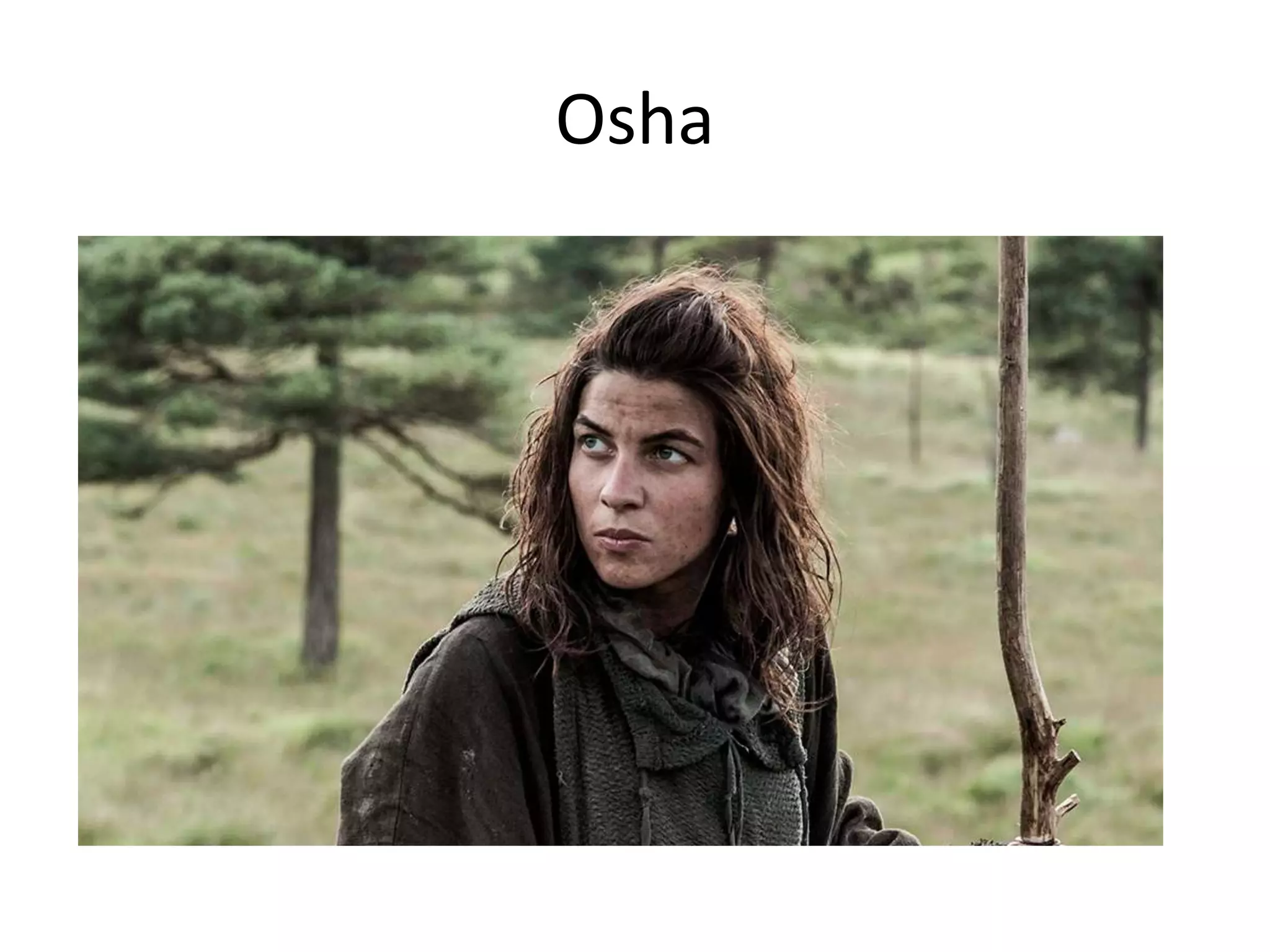 Osha
 