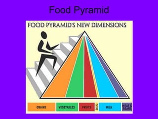 Food Pyramid
 