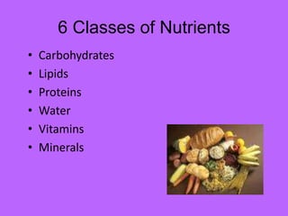 6 Classes of Nutrients
•   Carbohydrates
•   Lipids
•   Proteins
•   Water
•   Vitamins
•   Minerals
 