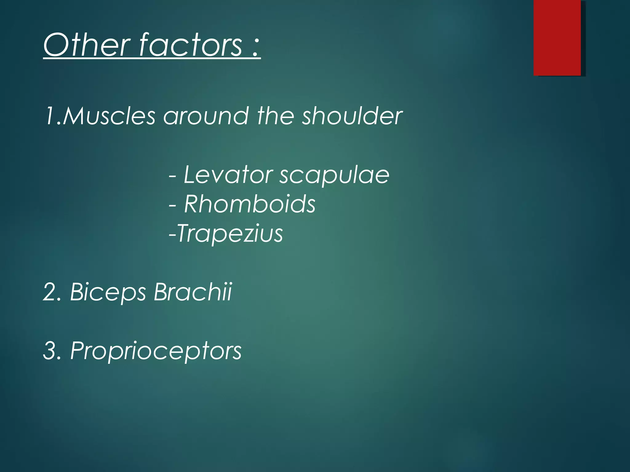 Other factors : 
1.Muscles around the shoulder 
- Levator scapulae 
- Rhomboids 
-Trapezius 
2. Biceps Brachii 
3. Proprioceptors 
 