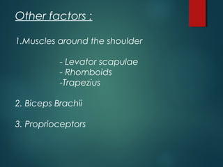 Other factors : 
1.Muscles around the shoulder 
- Levator scapulae 
- Rhomboids 
-Trapezius 
2. Biceps Brachii 
3. Proprioceptors 
 