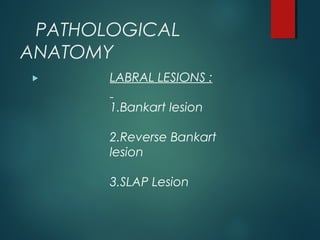 PATHOLOGICAL 
ANATOMY 
LABRAL LESIONS : 
1.Bankart lesion 
2.Reverse Bankart 
lesion 
3.SLAP Lesion 
 
 
