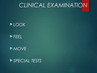 CLINICAL EXAMINATION 
LOOK 
FEEL 
MOVE 
SPECIAL TESTS 
 