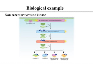 Non receptor tyrosine kinase
Biological example
 