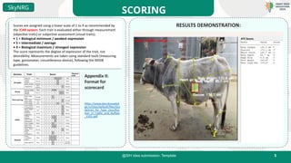 5
@SIH Idea submission- Template
SCORING
SkyNRG
Format for scorecard
RESULTS DEMONSTRATION:
Scores are assigned using a linear scale of 1 to 9 as recommended by
the ICAR system. Each trait is evaluated either through measurement
(objective traits) or subjective assessment (visual traits).
• 1 = Biological minimum / weakest expression
• 5 = Intermediate / average
• 9 = Biological maximum / strongest expression
The score represents the degree of expression of the trait, not
desirability. Measurements are taken using standard tools (measuring
tape, goniometer, circumference device), following the NDDB
guidelines.
Appendix II:
Format for
scorecard
https://www.dairyknowled
ge.in/sites/default/files/Gui
delines_for_Type_classifica
tion_in_Cattle_and_Buffalo
_1501.pdf
8
 